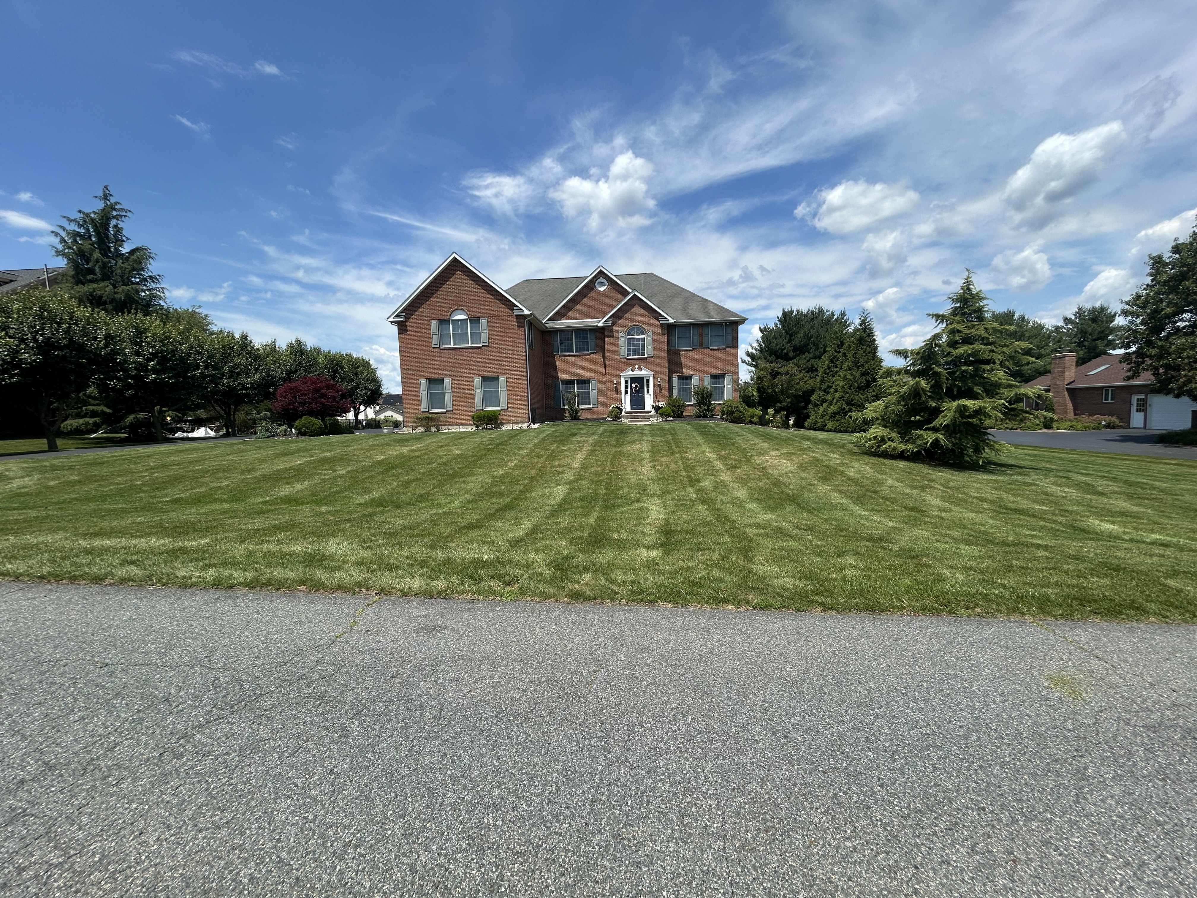 Before – Full Lawn Mow