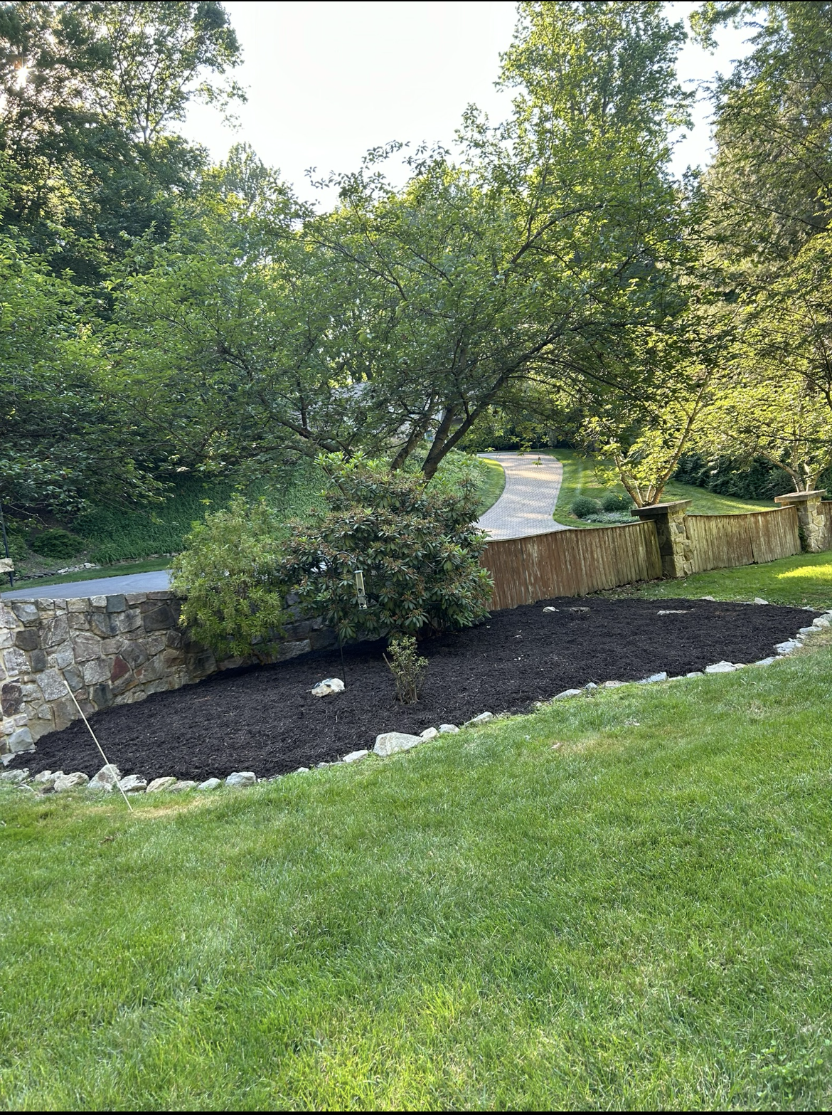 Before – Lawn Care