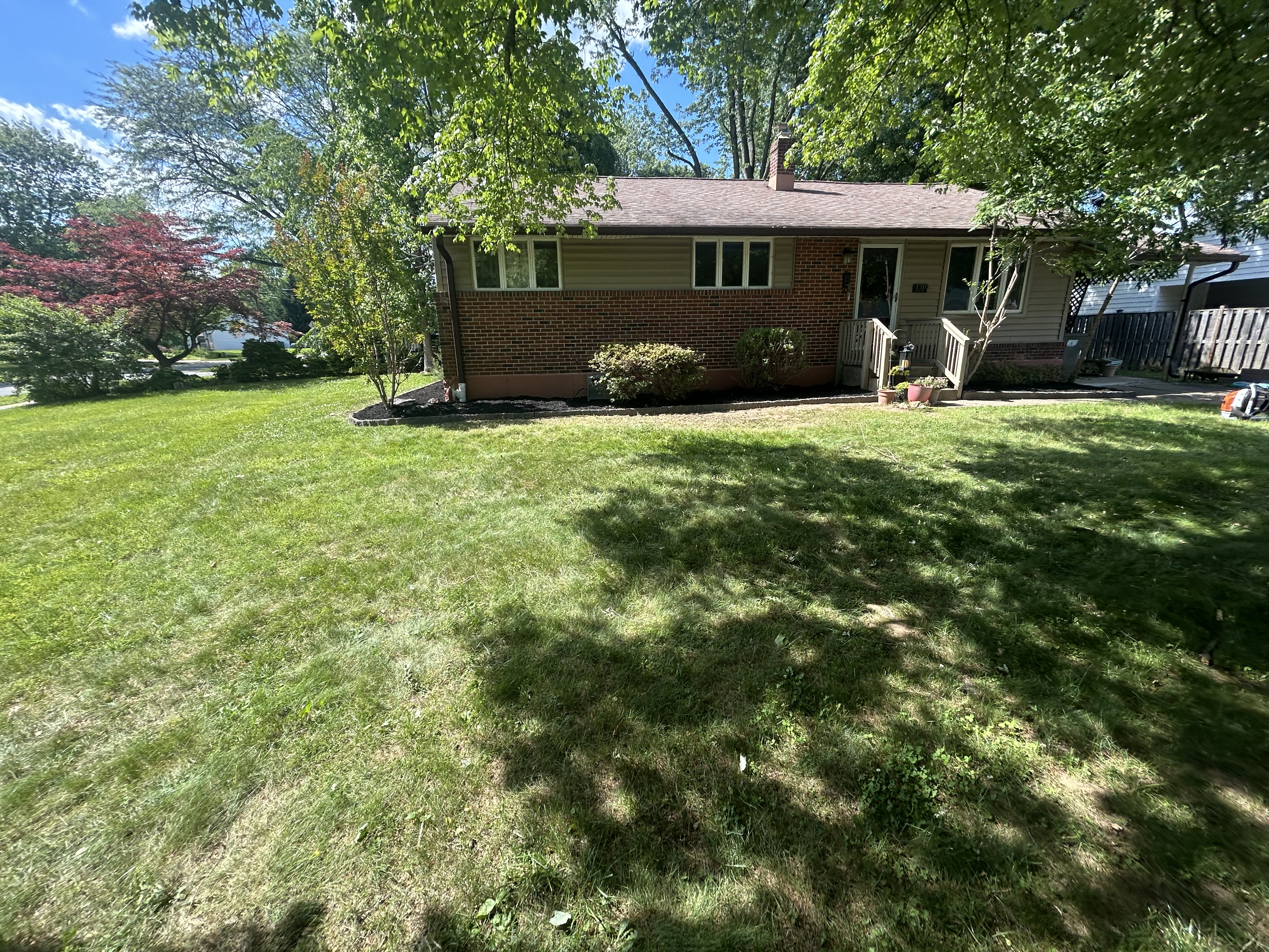 Before – Property Cleanup