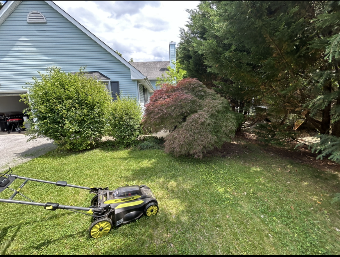 After – Shrub Trim