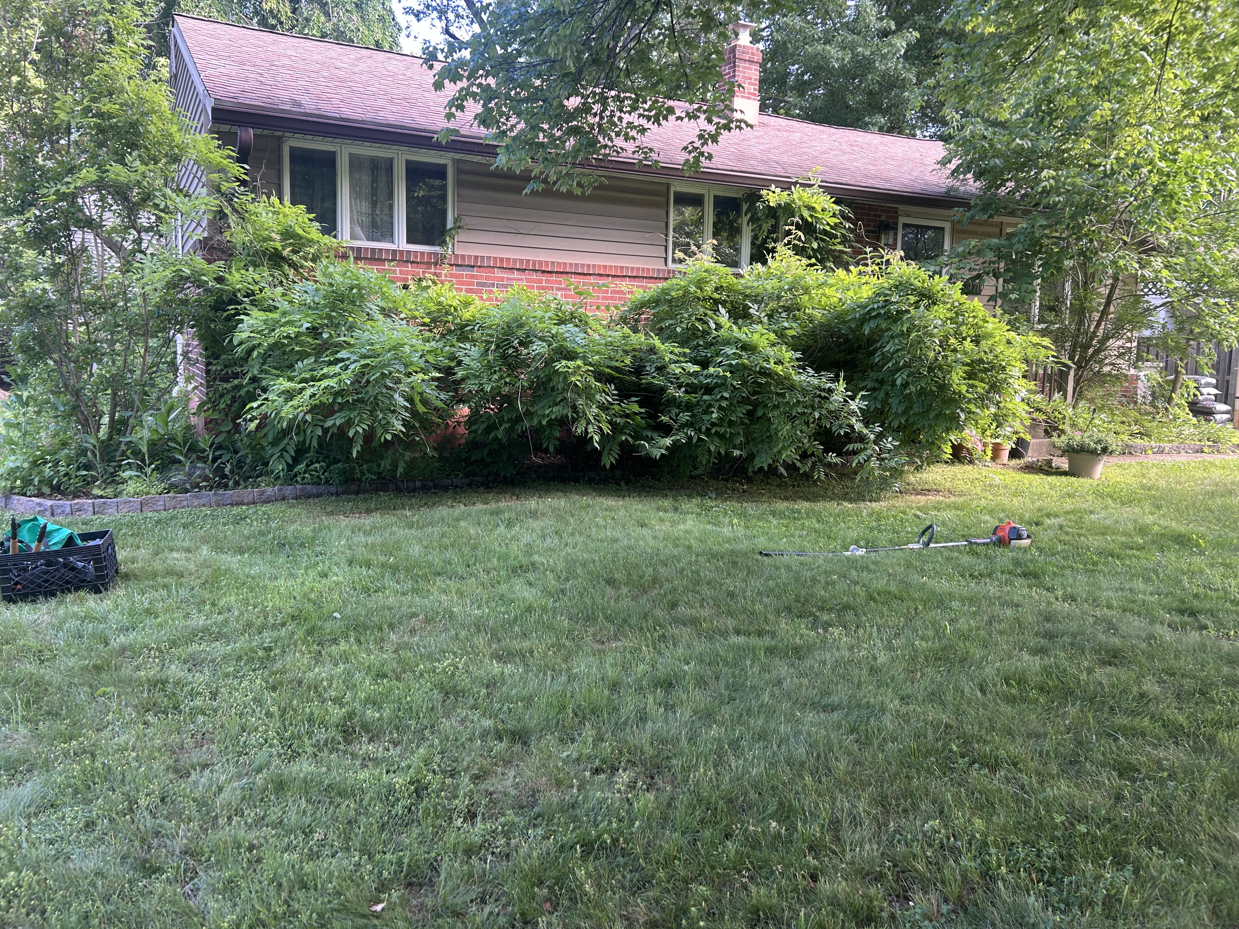 After – Property Cleanup